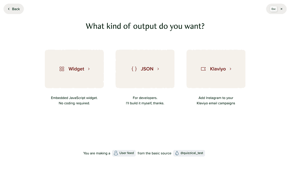 Screenshot of the feed type selection screen in Behold
