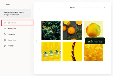 The behold feed detail screen showing a sidebar with multiple links. The first link says "Embed code"