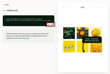 The behold feed detail screen showing the widget embed code