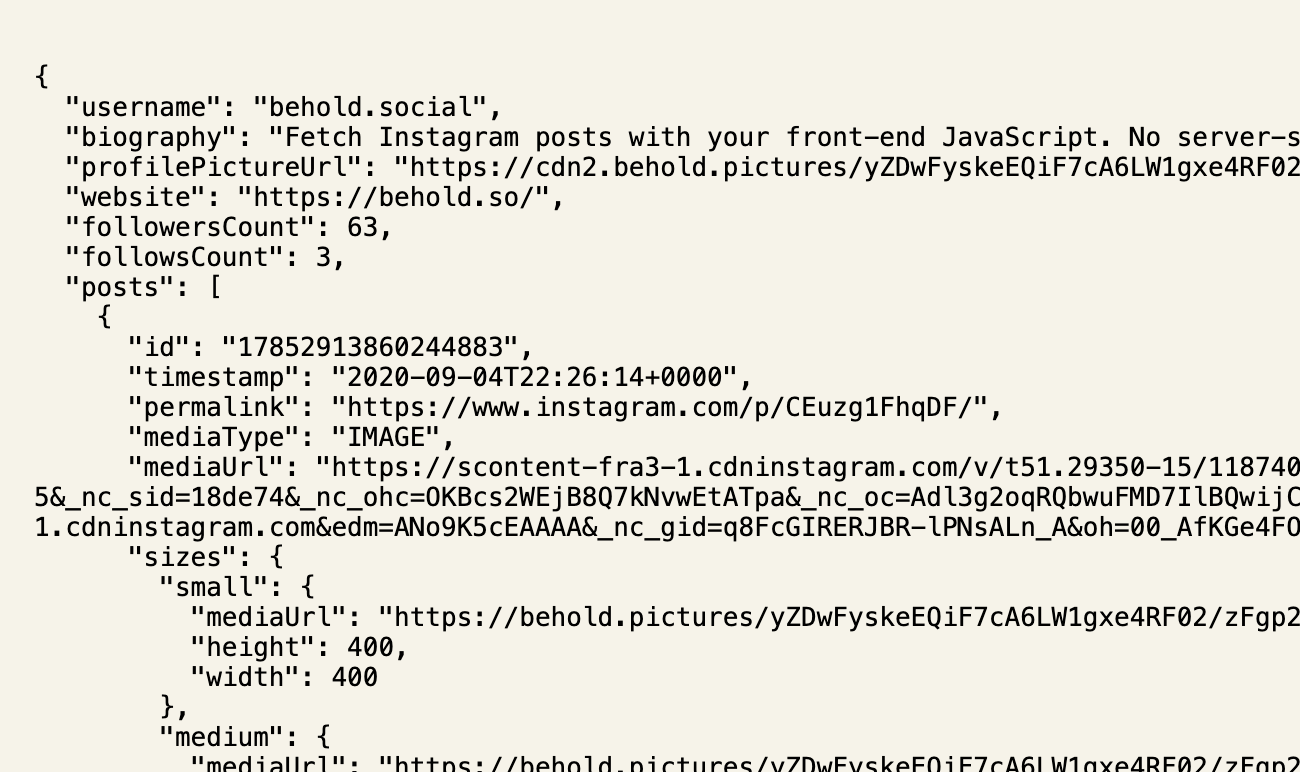 Screenshot of JSON output