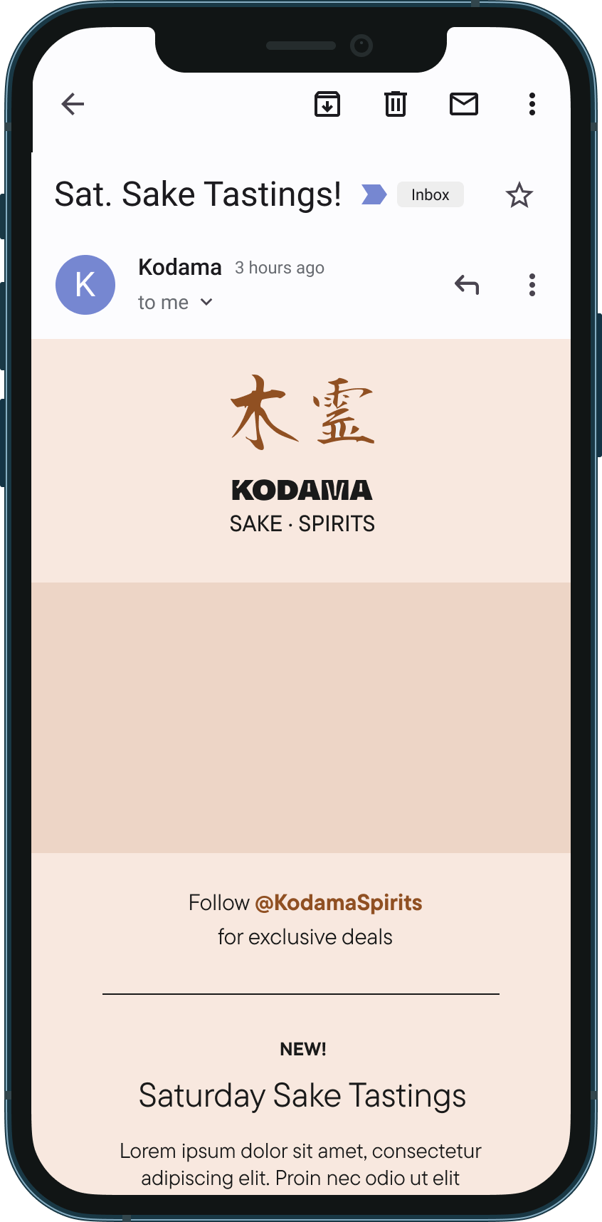 Example of a klaviyo email showing a 4x4 grid of instagram posts