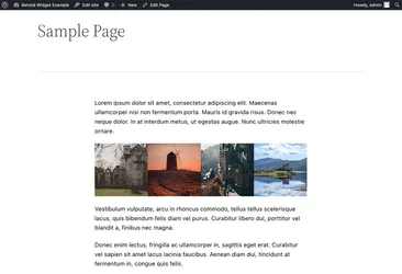 A sample WordPress page showing a Behold Instagram widget