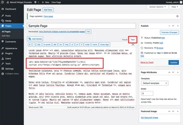 The classic WordPress editor in text mode.